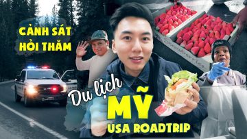 Du lịch Mỹ tự túc #2: Thẳng tiến rừng sâu đầy tuyết |USA trip