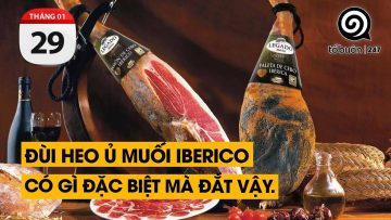 Đùi heo ủ muối Iberico có gì đặc biệt mà đắt vậy? | TỔ BUÔN 247 (29/01/2024)