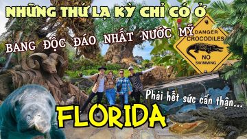 FLORIDA nơi người dân sống chung CÁ SẤU LỢN BIỂN và chơi với NGƯỜI NAVI