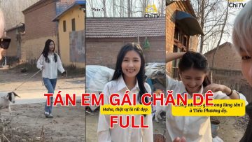 FULL TẬP Tán em gái chăn dê | ChiTV #langtuquaydau #chitv #tangai #chande #shortsvideo