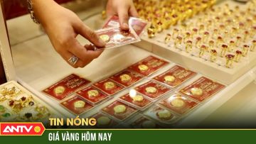 Giá vàng ngày 10/11: Ổn định sau chuỗi  tuần “lao dốc” | ANTV