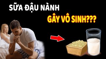 Giải mã sự thật Sữa đậu nành gây vô sinh?