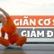 Giãn cơ toàn thân, giảm đau, hồi phục cơ bắp sau tập