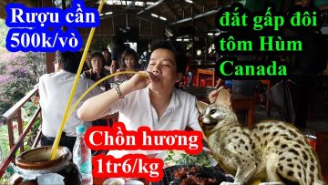 Hai lúa lần đầu uống r.ư.ợ.u c.ầ.n ăn thịt chồn hương siêu đắt đỏ và cái kết cười té ghế