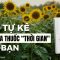 Hãy kê một toa thuốc “thời gian” cho bạn | Sách Thời gian là liều thuốc chữa lành tốt nhất