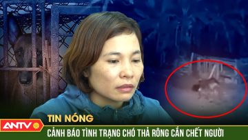 Hiểm họa chó thả rông cắn người dẫn đến những cái chết thương tâm | ANTV