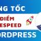 Hướng dẫn Tăng Tốc Website WordPress Lên 100 Speed Insights Google mới nhất