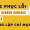 Khắc Phục Lỗi Noindex Không Lập Chỉ Mục Google Search Console Mới Nhất