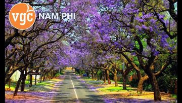 Khám phá Nam Phi cùng Vgc Travel