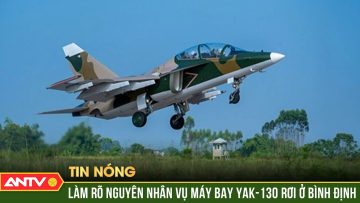 Khẩn trương tìm kiếm hộp đen, xác định nguyên nhân rơi máy bay quân sự ở Bình Định | ANTV