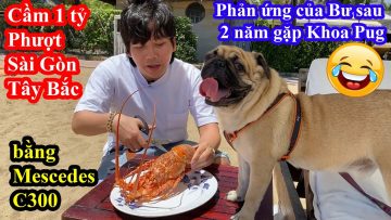 Khoa Pug Mua Tôm Hùm Siêu To Cho Bư Sau 2 Năm Gặp Mặt – Tour Phá Xe Mercedes Sài Gòn – Tây Bắc:)) #1