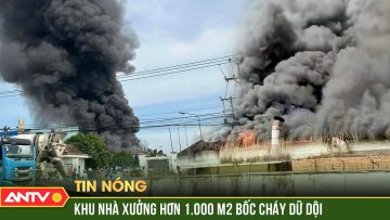 Khói lửa bốc cháy dữ dội bao trùm 1.000 m2 công ty gỗ ở Bình Dương | ANTV