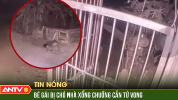 Khởi tố chủ nuôi trong vụ bé gái bị chó cắn tử vong ở Vĩnh Phúc | ANTV