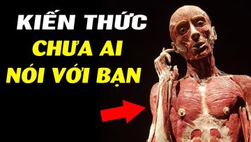 KIẾN THỨC VỀ CƠ THỂ NGƯỜI #1 – CƠ LÀ GÌ?
