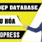 Làm Thế Nào Để Dọn Dẹp Database Trên Website WordPress Với Plugin Smart Cleanup Tools