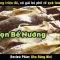 Lương triệu đô sao đã bằng ẩm thực nông thôn – review phim Khu Rừng Nhỏ