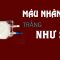 Máu nhân tạo và những sự thật ít người biết