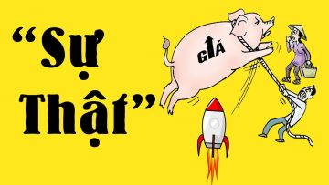 Nguyên nhân thật sự thịt Lợn tăng giá | Những hệ lụy nghiêm trọng