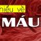 Những Sự thật thú vị về Máu mà bạn chưa biết