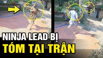 Ninja Lead phi thẳng vào nhà dân và cái kết hài vỡ bụng | Hài tin việt  | Tô Tin Tức