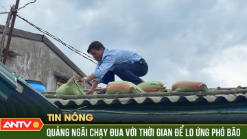 Quảng Ngãi khẩn cấp di dời, sơ tán 2.499 hộ dân trước 7 giờ ngày 27/10 | ANTV
