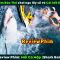 [Review Phim] Nhóm Báo Thủ Chơi Ngu Lấy Số Và Cái Kết Đắng | Shark Bait