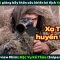 [Review Phim] Xạ Thủ Huyền Thoại Giăng Bẫy Thần Sầu Khiến Kẻ Địch Bó Chiếu | Sniper