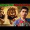 Săn được 8 con VUA SƯ TỬ trong Rừng Châu Phi