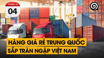 Sàn TMĐT chuyên đổ buôn 1688 có Tiếng Việt. Các nhà bán hàng có phải sợ không.