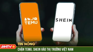 Sẽ chặn Temu, Shein nếu không hoàn thành đăng ký trong tháng 11 | ANTV