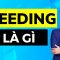 Seeding là gì ? Cách seeding hiệu quả khi bán hàng online