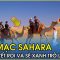 Sự thật lạ lùng về sa mạc Sahara | Vẻ đẹp hoàn hảo của sa mạc lớn nhất thế giới