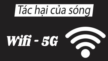 Tác hại của sóng Wifi  – 5G đến sức khỏe