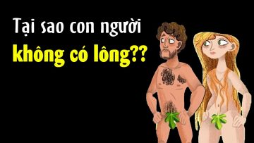 Tại sao lông con người chỗ có chỗ không??