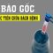 Tại sao người giàu đua nhau lưu trữ Tế Bào Gốc cho con?
