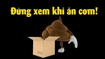 Tại sao người ta mở ngân hàng để lưu trữ cức?