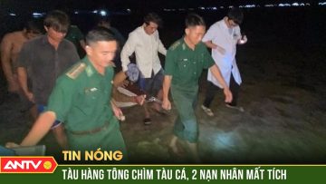 Tàu cá bị đâm chìm trên biển Côn Đảo, 14 thuyền viên gặp nạn | ANTV