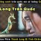 thần long trấn quốc – review phim The Yan Dragon