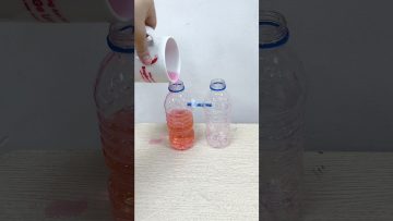 Thí nghiệm bình thông nhau | Experiments for kids #shorts  #steam  #funnyforkids  #scienece
