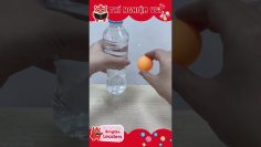 Thí nghiệm stem vui nhộn đơn giản từ nước cho bé học vật lý Physics experiment for kids #shorts