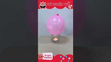 Thí nghiệm vui nhộn bóng bay thần kỳ | Experiments for kids | Balloon and candle #shorts #kidvideos