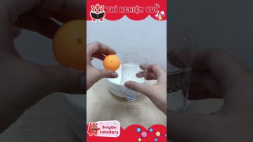 Thí nghiệm vui nhộn đơn giản cho bé | Easy Experiment With Ping Pong Ball  #shorts #kidvideos
