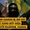 Thủ lĩnh Hamas bị ám sát. Lịch sử xung đột giữa Israel với Palestine, Hamas.