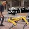 Tôi mới mua con chó nhưng mà nó lạ lắm…. VÌ GIÁ NÓ GẦN 2 TỶ. ( SPOT by HyunDai x Boston Dynamics)