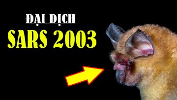 Tóm tắt nhanh Đại dịch Sars 2003 trong 5 phút!