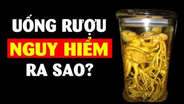 Tổng hợp tất cả kiến thức về rượu ít người biết