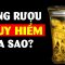 Tổng hợp tất cả kiến thức về rượu ít người biết