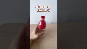 TOP 5 thí nghiệm stem đơn giản từ chai nhựa cho bé Bottle fun experiment #shorts #kidsvideos