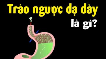 Trào ngược dạ dày là gì? Hiểu ngay trong 5 phút