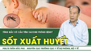 Từng mắc sốt xuất huyết, có cần tiêm vaccine phòng bệnh? | SKĐS